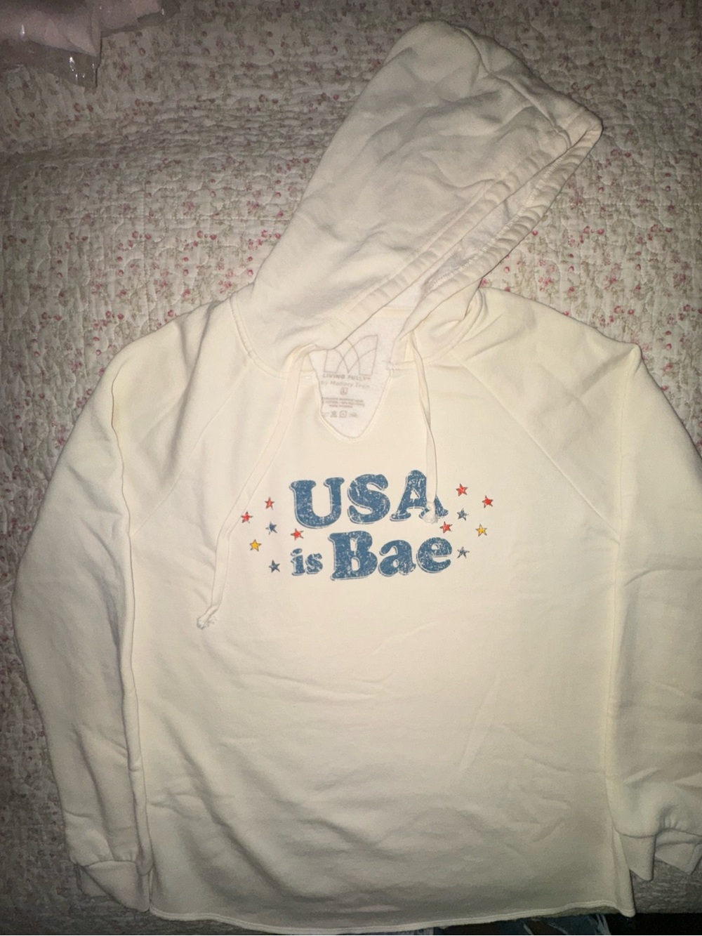 Living Fully - USA is Bae - Hooded Sweater